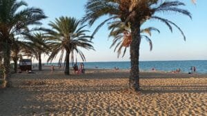 Playa les Albaranes Denia Alicante palmeras arena y caseta de Biblioplaya