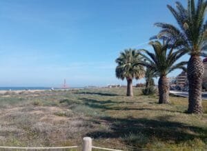Playa les Albaranes Denia Alicante flora autóctona y palmeras