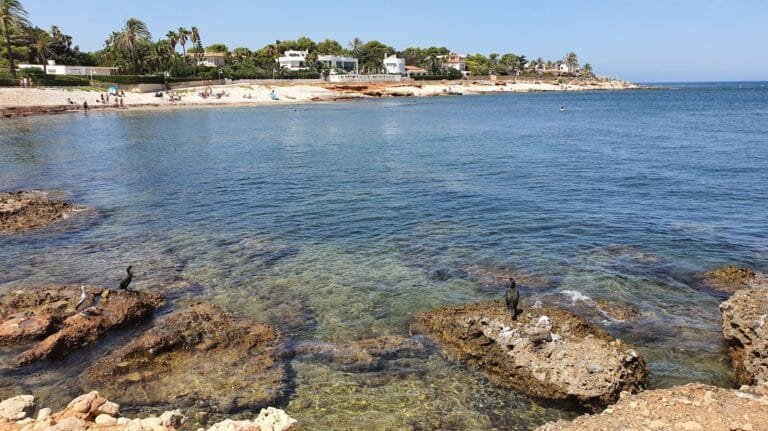 zona de la punta negra desde el paseo de las rotas