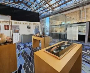 Museo de la Mar Denia Exposición