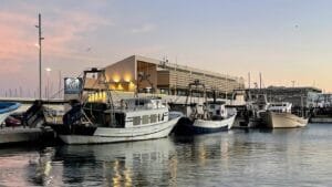 Puerto de Denia lonja de pescado Posit Puerto de Denia lonja de pescado Posit